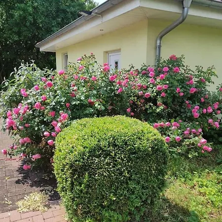 Apartment Ferienwohnung